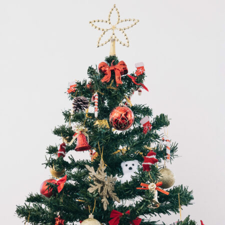 decorated-christmas-tree decorated-christmas-tree