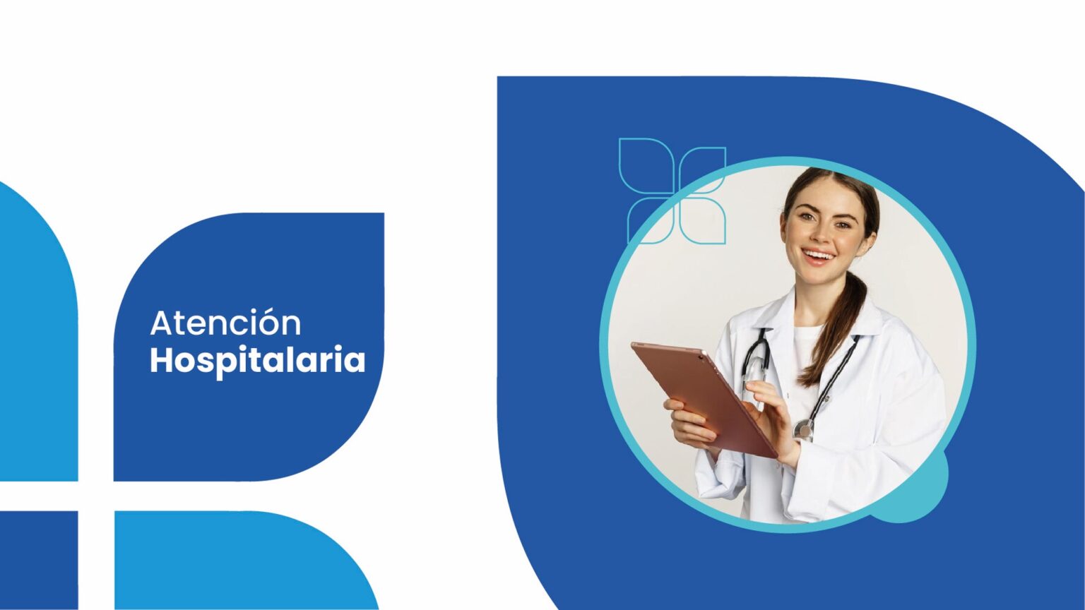 Diapositiva14