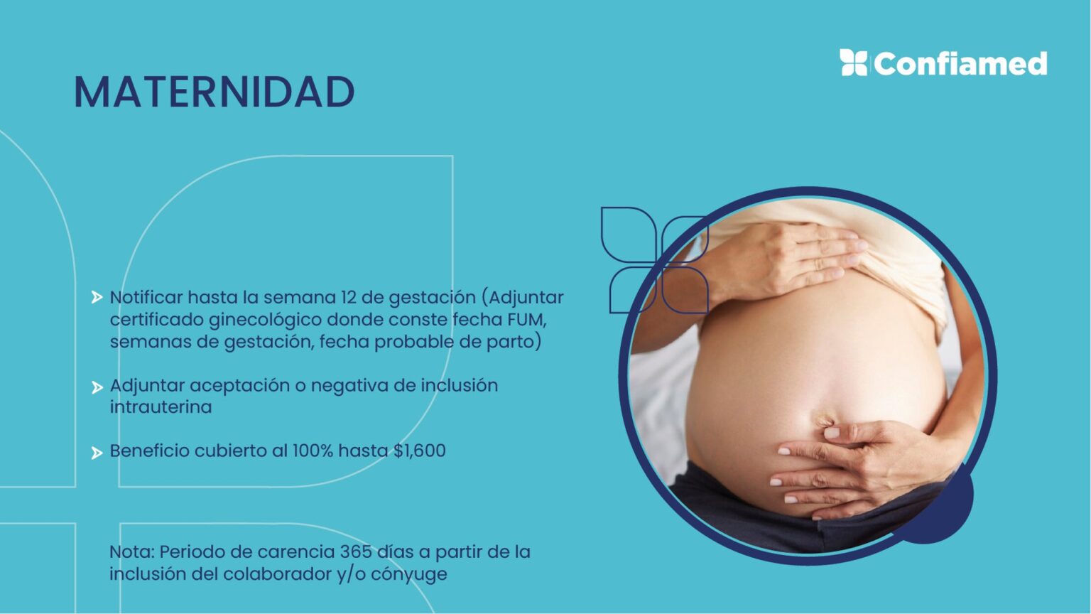 Diapositiva16