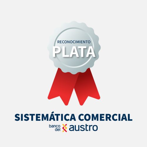 PORTADAS-SISTEMATICA-PLATA